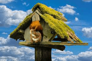 ನೆಮ್ಮದಿ