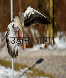 उड़ान  भाग1