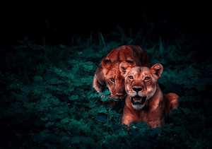 मैं, तुम और हम