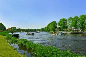 വയലും വീടും