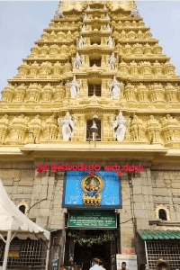 𝙼𝚈 𝙵𝙰𝙼𝙸𝙻𝚈 𝙶𝙾𝙳𝙳𝙴𝚂𝚂𝙴𝚂