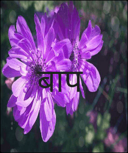 बाप कविता