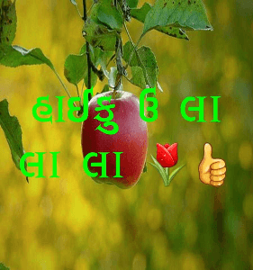 હાઈકુ ઉ લા લા લા 🌷