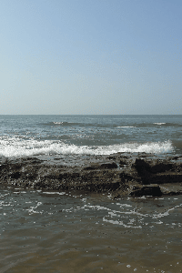 " સાહિલ "