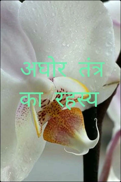 अघोर  तंत्र  का  रहस्य