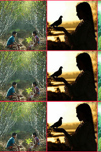 అభిసారిక