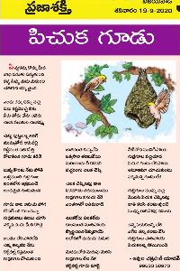 పిచుక గూడు