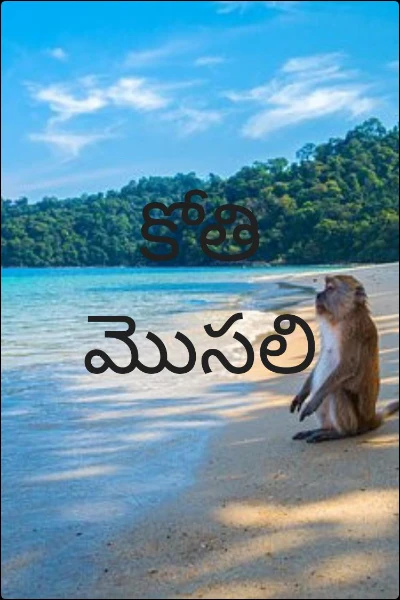 కోతి మొసలి
