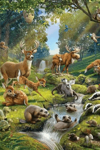 జిత్తులమారి నక్క