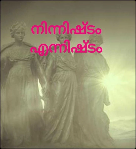 നിന്നിഷ്ടം എന്നിഷ്ടം