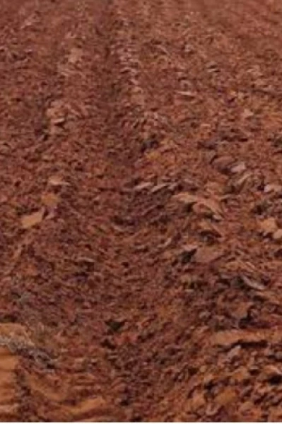 மீட்டெடுக்க வேண்டிய மண்வளம்