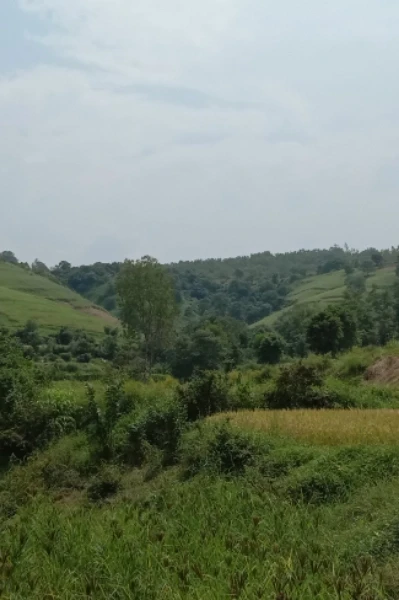 "माणुसकी हाच खरा धर्म आणि हीच खरी जात..."