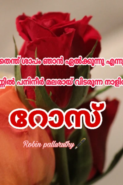 റോസ് (കവിത)