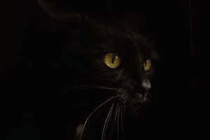 "கருப்பு பூதம்"