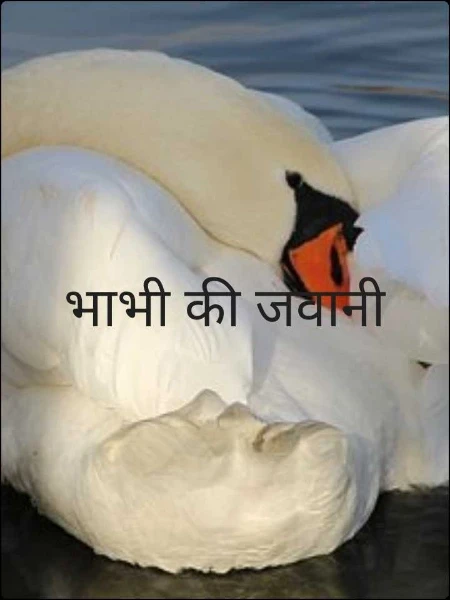भाभी की जवानी
