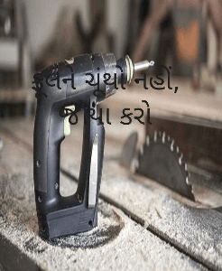 ફૂલને ચૂંથો નહીં, જોયા કરો