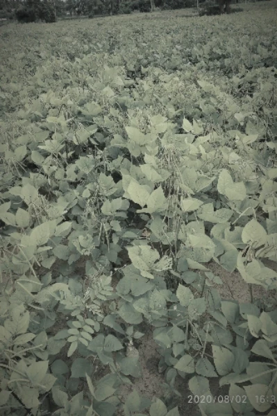 ನೆಮ್ಮದಿಯ ಸಾಹುಕಾರನಿಂದು ಸಾಲಗಾರ