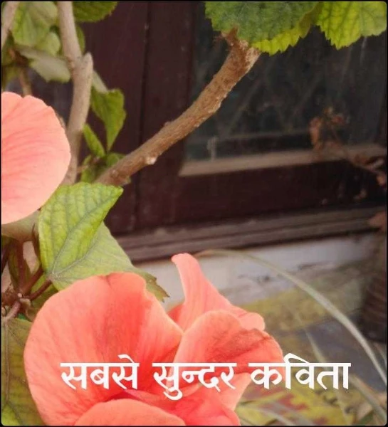 सबसे सुन्दर कविता