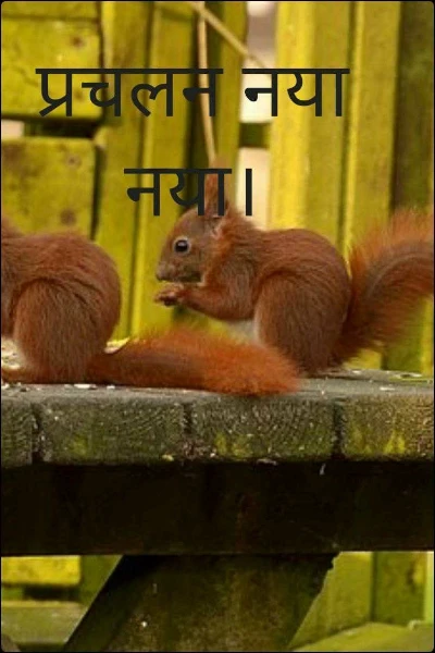 प्रचलन नया नया।