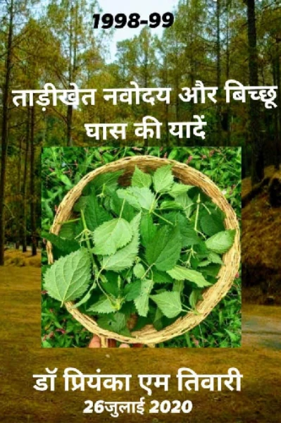 बिच्छू घास..और नवोदय ताड़ीखेत....