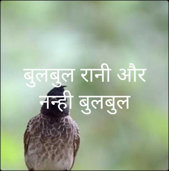 बुलबुल रानी और नन्ही बुलबुल