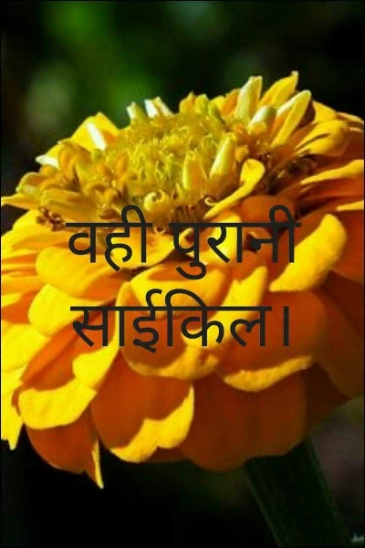 वही पुरानी साईकिल।