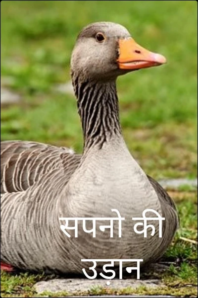 सपनो की उड़ान