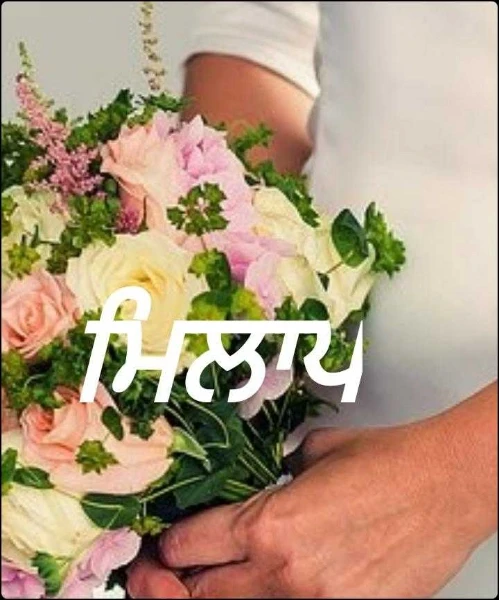ਮਿਲਾਪ