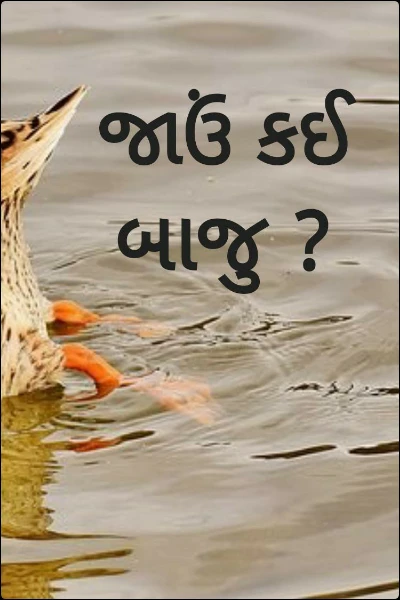 જાઉં કઈ બાજુ ?