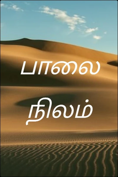பாலை நிலம்
