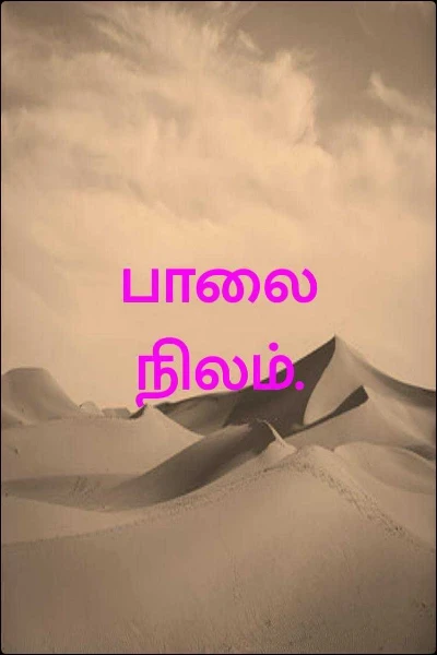 பாலை நிலம்.