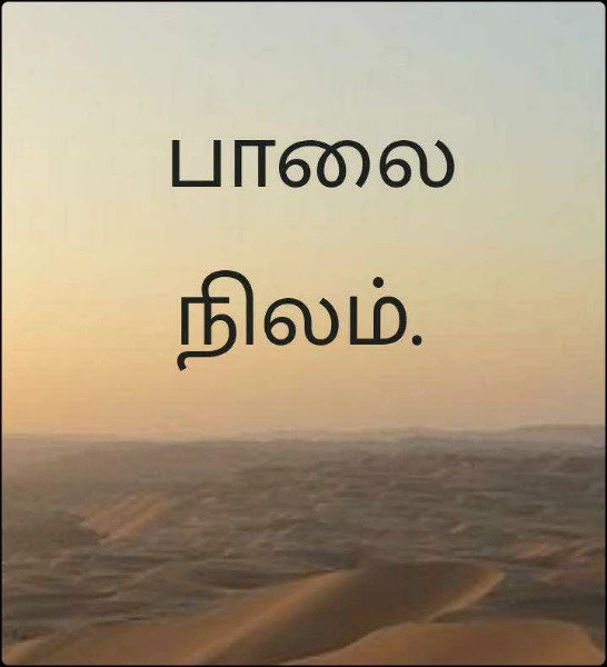 பாலை நிலம்.  ஷாந்தி ராஜன்