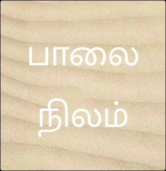 பாலை நிலம்
