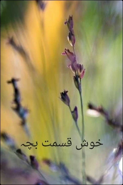 خوش قسمت بچہ