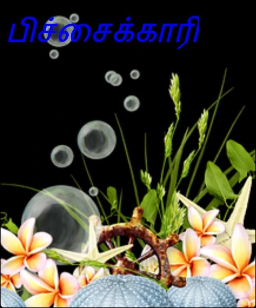 பிச்சைக்காரி