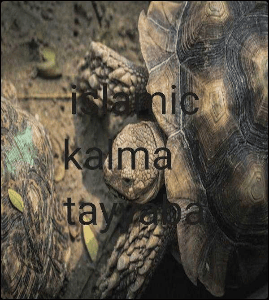 islamic kalma 1 tayyaba
