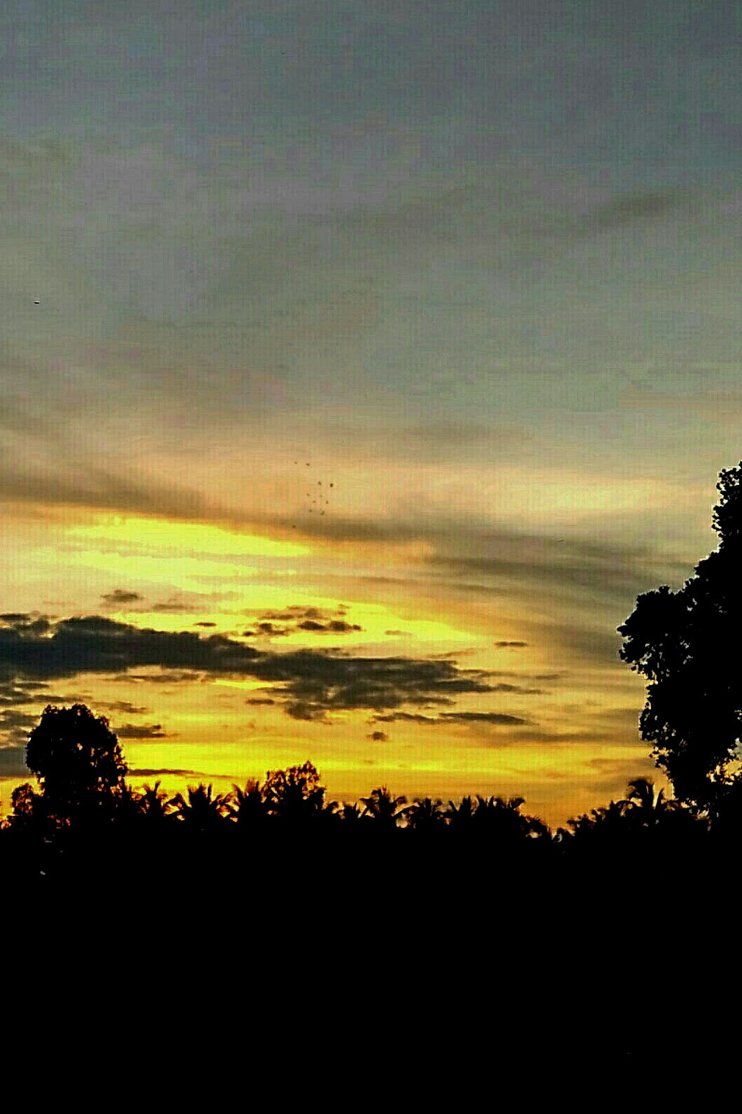 ಮುಂಜಾನೆದ್ದು . . . . . .