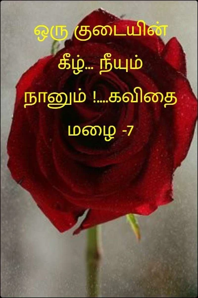 ஒரு குடையின் கீழ்... நீயும் நானும்‌ !....கவிதை மழை -7