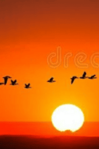 नई सुबह नया सूरज