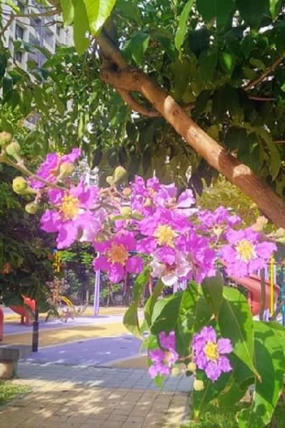 हसीन वादियाँ