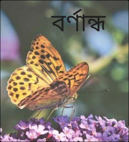 বর্ণান্ধ