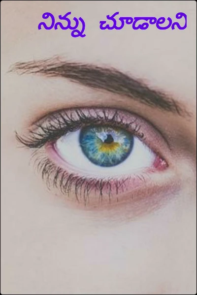 నిన్ను  చూడాలని