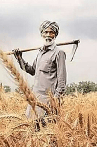 गरीब किसान