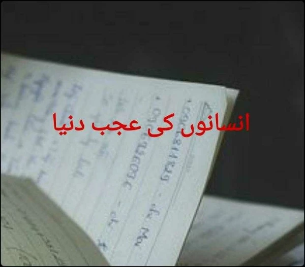 انسانوں کی عجب دنیا