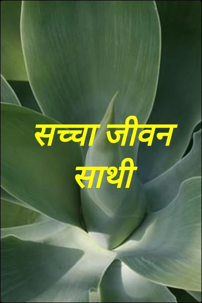 सच्चा जीवन साथी