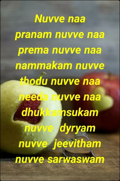 Nuvve naa pranam nuvve naa prema nuvve naa nammakam nuvve thodu nuvve naa needa nuvve naa dhukkamsukam nuvve  dyryam nuvve  jeevitham nuvve sarwaswam