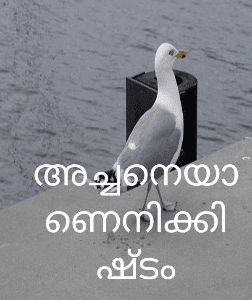 അച്ചനെയാണെനിക്കിഷ്ടം