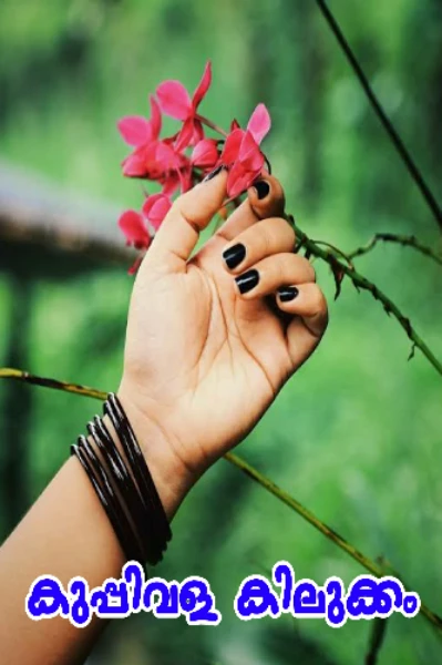 കുപ്പിവള കിലുക്കം