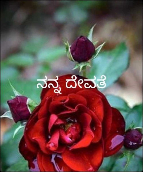 ನನ್ನ ದೇವತೆ