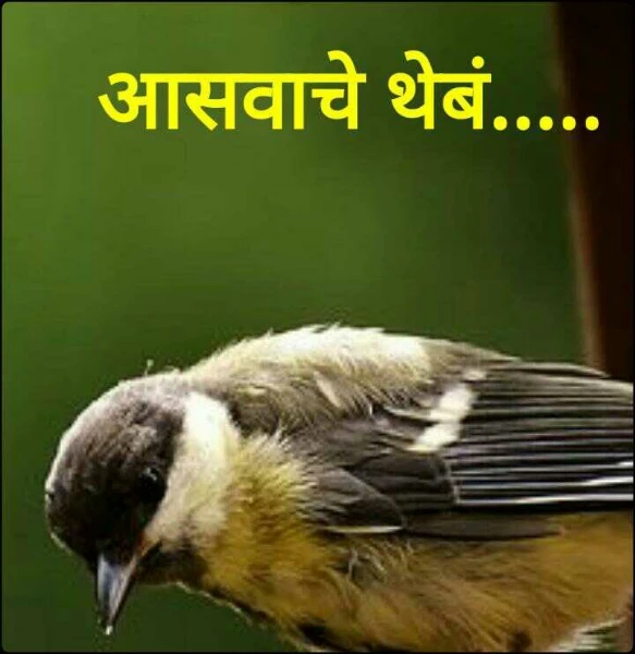 आसवाचे थेबं.....